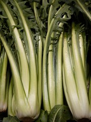 green onions 