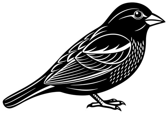 recommend clip art: Drawing of beautiful Grosbeak bird silhouette black vector art illustration 