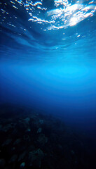 Obraz premium A serene underwater scene showcasing the beauty of the sea or ocean, with vibrant marine life and intricate coral formations, capturing the essence of deep nature.