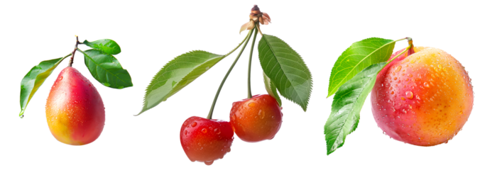 Set of peach, pear, cherry or nectarine covered in dew drops, surrounded by green leaves isolated on white background.