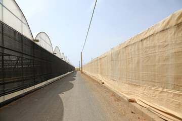 invernadero exterior carretera agricultura Almería Andalucía 4M0A3093-as24