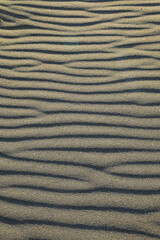 dibujo sobre la arena del desierto con textura realizado por el aire playa Almería 4M0A4145-as24