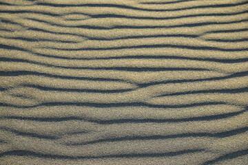 dibujo sobre la arena del desierto con textura realizado por el aire playa Almería 4M0A4148-as24