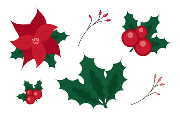 Hand painted Christmas floral elements set. Flat winter botanical illustration of , red poinsettia, berries, branches and leaves. Holiday objects isolated on white background