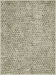 Fototapeta premium Digital textured modern rug, classic carpet , traditional rug ,textile flooring rug , covering floor , mat , runner ,carpet pattern , sublimatation design , direct printing design.