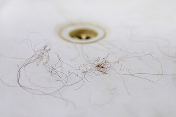clumps of hair at the bottom of a white bathtub near the drain. aging and hair loss issues