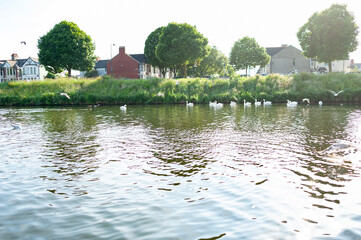 View of houses from a canal in Cardiff, Wales
