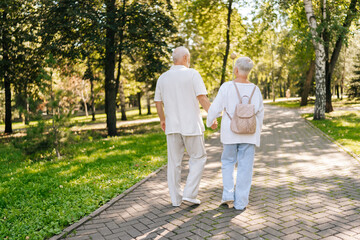 Fototapeta premium Rear view of elderly couple strolling in lush park, talking and smiling, embodying love and happiness in retirement, enjoying sunny day together. Active senior male and female enjoying retirement.