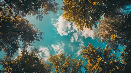 A wide-angle photograph of tall buildings with green trees in the background