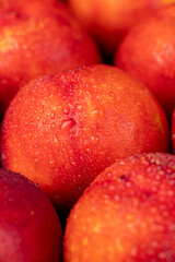 ripe wet red nectarines folded together