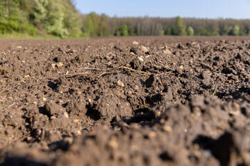 fertile soil in spring during the preparation for sowing