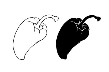 Set of line sketches, silhouettes, stamps of sweet pepper fruits. Vector graphics.