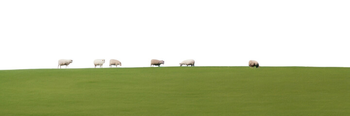 PNG Sheeps in valley sky grassland landscape.