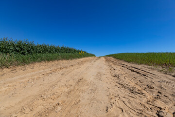 part of the road in the field for agricultural transport