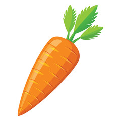Carrot vector illustration on a white background