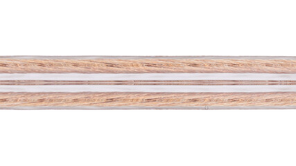 Close Up of Transparent Speaker Wire with Copper Strands