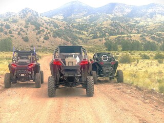 Side by Side ATV © Laura