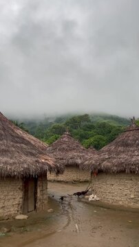 Gallinas entre chozas en pueblo ind&iacute;gena Kogui de la Sierra Nevada de Colombia