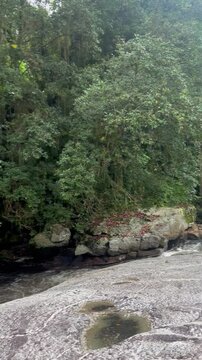 R&iacute;o en la selva de la Sierra Nevada de Colombia