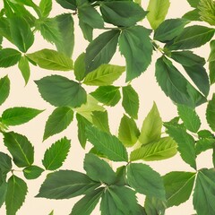 Fresh Green Leaves Background