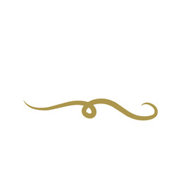 Gold Swirl and Scroll 