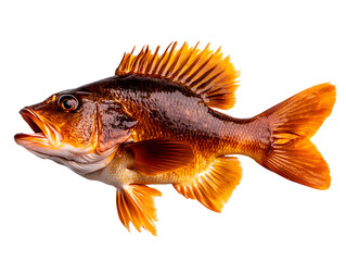 Fototapeta premium Die-cut fish with vibrant colors, Transparent background.