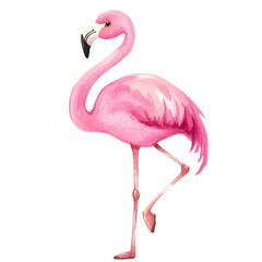 Obraz premium Pink flamingo standing gracefully on one leg, Transparent background.