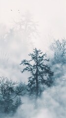 Enchanted Forest: Foggy Winter Landscape Photography