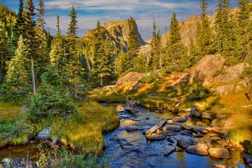The creek flowing out of Emerald Lake, Rocky Mountain National Park, Colorado.