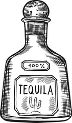 Tequila bottle sketch. Bar alcohol menu icon