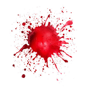 Red blood or paint splash or stain on transparent background. Halloween, murder and horror concept. Red ink splash, splatter and stain.	