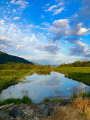 A landscape image of a walking trail near Duncan, British Columbia, Canada. 