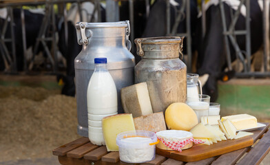 Various types of fresh natural farm dairy products on table on background of open cowshed..