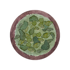 Green tea leafs in a wooden bowl watercolor isolated on white. Hand painted dry purple flowers, eco design. High quality art for packages, matcha powder, night tea, herbalism