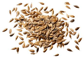 PNG  Scattered sunflower seeds food white background ingredient.