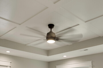 Elegant Ceiling Fan With Modern Design And Lighting.