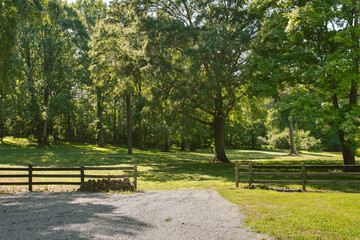 Gravel Driveway Opening To Wooded Scenic Landscape.