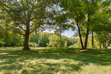 Expansive Lush Green Park With Trees And Open Sky.