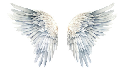 Obraz premium PNG White angel wings bird white background creativity.