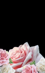 Spring pink and white roses for additional decoration. Floral decoration, great for invitations and additional elements.