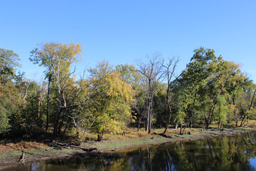 Des Plaines River at Algonquin Woods in autumn in Des Plaines, Illinois