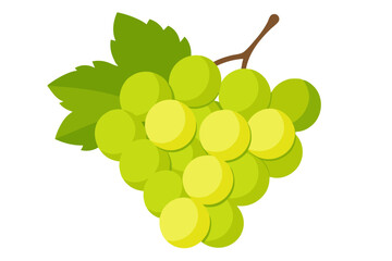 Bunch of green grapes isolated on white background vector art illustration