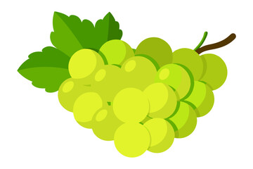 Bunch of green grapes isolated on white background vector art illustration