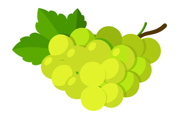 Bunch of green grapes isolated on white background vector art illustration