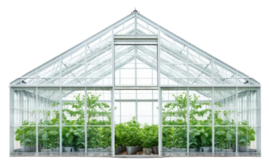 PNG Glasshouse greenhouse gardening outdoors.