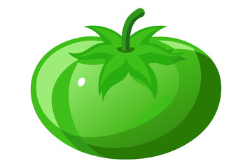  Green tomato on white background