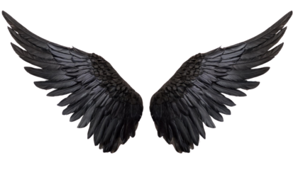 Black angel wings isolated on white background, perfect for designs and creative projects.