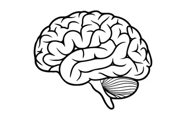 Human brain medical vector icon illustration isolated on white background