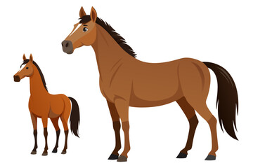 purebred actual teke horse vector art illustration
