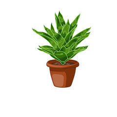 An illustration of the bromeliad plant which is a good ornamental plant as a template
